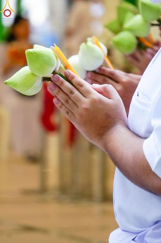 ภาพ No.141320:พิธีบรรพชาอุปสมบท โครงการอุปสมบทหมู่รุ่นผู้บริหาร รุ่นที่ 14 โครงการอุปสมบทหมู่ธรรมทายาท ระดับอุดมศึกษา รุ่นที่ 51 ภาคฤดูฝน ณ โบสถ์พระไตรปิฎก วัดพระธรรมกาย ในวันเสาร์ที่ 15 มิถุนายน พ.ศ. 2567