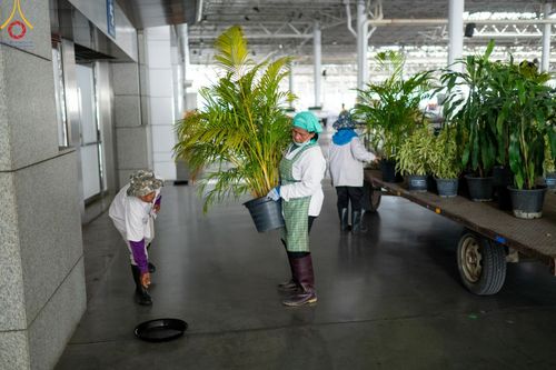 ภาพ No.60817:V.37 ยิ่งกว่าดี เพื่อ 80 ปีของพ่อ ภาพการเตรียมงานของหน่วยงานต่างๆ เพื่อพิธีฉลองอายุวัฒนมงคล 80 ปี หลวงพ่อธัมมชโย และรับถวายมหาสังฆทาน 10,000 กว่าวัดทั่วประเทศ ในวันคุ้มครองโลก วันจันทร์ที่ 22 เมษายน พ.ศ. 2567