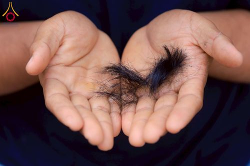 ภาพ No.275940:วันที่ 26-30 พฤศจิกายน พ.ศ. 2568 ทีมพระพี่เลี้ยงตั้งรับ รายงานตัวโครงการบวชบูชาธรรมมหาปูชนียาจารย์ ณ ศูนย์ปฏิบัติธรรมบุรีรัมย์