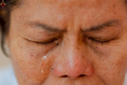 ภาพ No.260663:วันอาทิตย์ที่ 19 ตุลาคม พ.ศ. 2568 พิธีทอดกฐิน วัดพระธรรมกายสตอกโฮล์ม ประเทศสวีเดน 