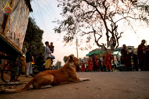 ภาพ No.309961:วันที่ 3-8 กุมภาพันธ์ พ.ศ. 2569 ธรรมยาตราบังกลาเทศ (Rajban Vihar - Khagrachri) ณ ประเทศบังกลาเทศ (Bangladesh)