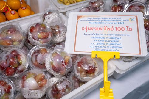 ภาพ No.289887:วันที่ 8 มกราคม พ.ศ. 2569 พิธีถวายภัตตาหารเป็นสังฆทาน แด่พระธรรมยาตรา ณ อนุสรณ์สถานคลองบางนางแท่น อ.สามพราน จ.นครปฐม ในโครงการธรรมยาตรา กตัญญูบูชา มหาปูชนียาจารย์ พระมงคลเทพมุนี(สด จนฺทสโร) พระผู้ปราบมาร อนุสรณ์สถาน 7 แห่ง ปีที่ 14