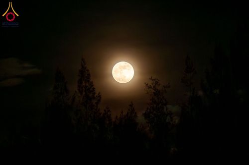 ภาพ No.162274:พิธีจุดประทีปโคมลาน ถวายเป็นพุทธบูชา สร้างความสว่างไสวให้กับแผ่นดินด้วยแสงธรรม วันพฤหัสบดีที่ 17 ตุลาคม พ.ศ. 2567 ณ พุทธอุทยานนานาชาติ จังหวัดหนองคาย