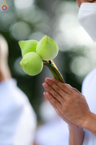 ภาพ No.141551:พิธีบรรพชาอุปสมบท โครงการอุปสมบทหมู่รุ่นผู้บริหาร รุ่นที่ 14 โครงการอุปสมบทหมู่ธรรมทายาท ระดับอุดมศึกษา รุ่นที่ 51 ภาคฤดูฝน ณ โบสถ์พระไตรปิฎก วัดพระธรรมกาย ในวันเสาร์ที่ 15 มิถุนายน พ.ศ. 2567