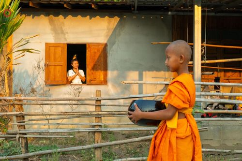 ภาพ No.62253:Photo Story  มหัศจรรย์วัดดงดินแดง Episode 4 กิจกรรมตักบาตรฉลองพระ-เณรกว่า 500 รูป