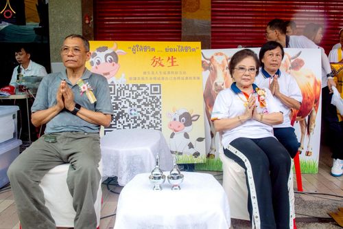 ภาพ No.238171:วันเสาร์ที่ 9 สิงหาคม พ.ศ. 2568 พิธีไถ่ชีวิตโค-โคท้อง 162 ตัว ณ ใจกลางนครหาดใหญ่ จ.สงขลา