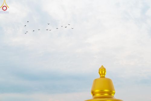 ภาพ No.118468:พิธีตักบาตรพระธรรมยาตรา ปีที่ 12 ณ อนุสรณ์สถานลำดับที่ 5 สถานที่เผยแผ่วิชชาธรรมกายครั้งแรก อนุสรณ์สถานบางปลา จ.นครปฐม วันที่ 25 มกราคม พ.ศ. 2567