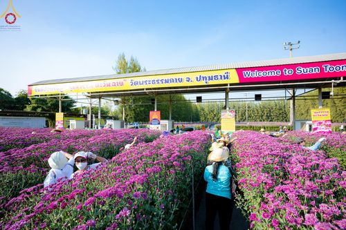 ภาพ No.186296:จิตอาสาอนุรักษ์สิ่งแวดล้อม รับบุญเก็บดอกเบญจทรัพย์ เพื่องานต้อนรับพระธรรมยาตรา ณ "ทุ่งสวรรค์ ตะวันฉาย" วัดพระธรรมกาบ วันที่ 22 ธันวาคม พ.ศ. 2567