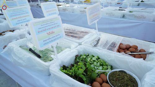 ภาพ No.71212:พิธีถวายภัตตาหารเป็นสังฆทาน แด่คณะพระธรรมยาตราฯ ในโครงการธรรมยาตราฯ ปีที่ 11 ณ อนุสรณ์สถานคลองบางนางแท่น อ.สามพราน จ.นครปฐม วันที่ 14 มกราคม พ.ศ. 2566