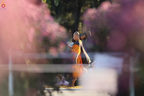 ภาพ No.287040:วันที่ 2 มกราคม พ.ศ.2569 พิธีต้อนรับพระธรรมยาตรา ครั้งที่ 1 (ภาพชุดที่ 2) ณ วัดพระธรรมกาย (วิหารหลวงปู่ - พระมหาธรรมกายเจดีย์)