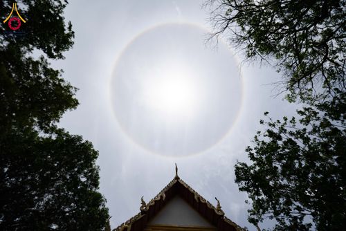 ภาพ No.341330:วันอาทิตย์ที่ 26 กรกฎาคม พ.ศ. 2569 ​โครงการอุปสมบทหมู่บูชาธรรมมหาปูชนียาจารย์ รุ่นที่ ๑ วัดกลางธนรินทร์ ต.บ้านแป้ง อ.พรหมบุรี จ.สิงห์บุรี
