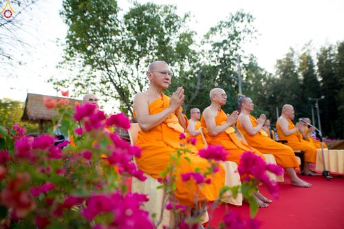 ภาพ No.280893:วันที่ 28 ธันวาคม พ.ศ.2568 กิจกรรมเก็บดอกแพงรวย ณ ทุ่งสวรรค์ตะวันฉาย วัดพระธรรมกาย