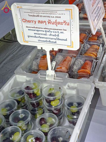 ภาพ No.200315:พิธีถวายภัตตาหารเป็นสังฆทาน แด่พระธรรมยาตรา ณ อนุสรณ์สถานบางปลา วัดบางปลา อำเภอบางเลน จังหวัดนครปฐม ในโครงการธรรมยาตรา กตัญญูบูชา มหาปูชนียาจารย์ พระมงคลเทพมุนี(สด จนฺทสโร) พระผู้ปราบมาร อนุสรณ์สถาน 7 แห่ง ปีที่ 13 วันที่ 23 มกราคม พ.ศ. 2568