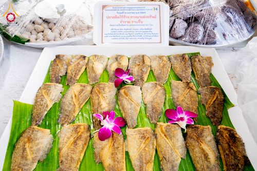 ภาพ No.293812:วันที่ 14 มกราคม พ.ศ. 2569  พิธีถวายภัตตาหารเป็นสังฆทาน แด่พระธรรมยาตรา  ณ วัดสองพี่น้อง ต.ต้นตาล อ.สองพี่น้อง จ.สุพรรณบุรี  ในโครงการธรรมยาตรา กตัญญูบูชา มหาปูชนียาจารย์  พระมงคลเทพมุนี(สด จนฺทสโร) พระผู้ปราบมาร  อนุสรณ์สถาน 7 แห่ง ปีที่ 14