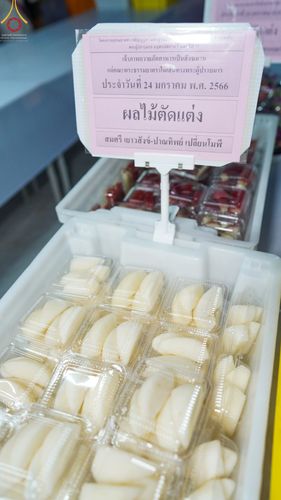 ภาพ No.74031:พิธีถวายภัตตาหารเป็นสังฆทาน แด่คณะพระธรรมยาตราฯ ในโครงการธรรมยาตรากตัญญูบูชา มหาปูชนียาจารย์ พระมงคลเทพมุนี(สด จนฺทสโร) พระผู้ปราบมาร อนุสรณ์สถาน 7 แห่ง ปีที่ 11 วันที่ 24 มกราคม พ.ศ. 2566