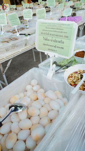 ภาพ No.72181:พิธีถวายภัตตาหารเป็นสังฆทาน แด่คณะพระธรรมยาตราฯ ในโครงการธรรมยาตรากตัญญูบูชา มหาปูชนียาจารย์ พระมงคลเทพมุนี(สด จนฺทสโร) พระผู้ปราบมาร อนุสรณ์สถาน 7 แห่ง ปีที่ 11 วันที่ 18 มกราคม พ.ศ. 2566