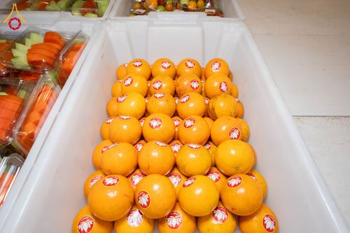 ภาพ No.303569:วันที่ 27 มกราคม พ.ศ. 2569 พิธีถวายภัตตาหารเป็นสังฆทาน แด่พระธรรมยาตรา ณ วัดพระธรรมกาย  จังหวัดปทุมธานี ในโครงการธรรมยาตรา กตัญญูบูชา มหาปูชนียาจารย์ พระมงคลเทพมุนี(สด จนฺทสโร) พระผู้ปราบมาร อนุสรณ์สถาน 7 แห่ง ปีที่ 14