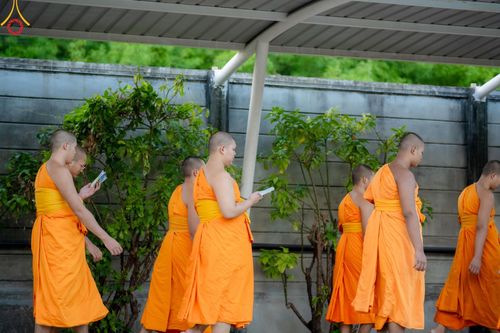 ภาพ No.147704:พิธีถวายภัตตาหารเมนูสวรรค์ ในพรรษาแห่งการเข้าถึงธรรม วันเสาร์ที่ 10 สิงหาคม พ.ศ. 2567 ณ หอฉันคุณยายอาจารย์ฯ วัดพระธรรมกาย