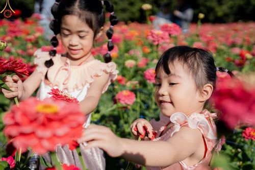 ภาพ No.188271:บรรยากาศ ทุ่งสวรรค์หรรษาพนาวัฒน์ ณ สวนพนาวัฒน์ อ.ฮอด จ.เชียงใหม่ เปิดให้เข้าชมฟรี ระหว่างวันที่ 28 ธันวาคม พ.ศ. 2567 ถึง วันที่ 3 มกราคม พ.ศ. 2568 เวลา 08.00-17.00 น.