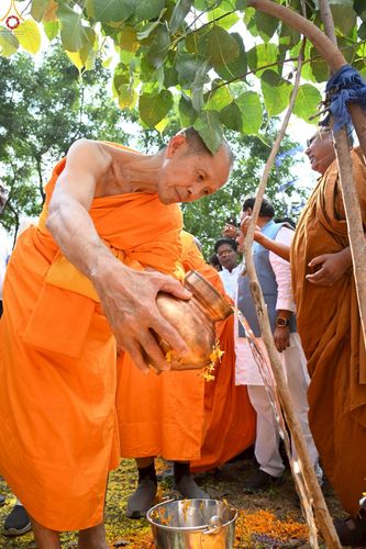 ภาพ No.263319:วันที่ 16 ตุลาคม พ.ศ. 2568 กฐินสมทบหลวงพ่อ ธัมมชโย ถวายแด่ วัดพุทธตรีรัตนะ วิหาร , เมือง ดร อัมเบ็ดการ์ นาการ์ นันเดท  รัฐมหาราษฎร์  ประเทศอินเดีย 