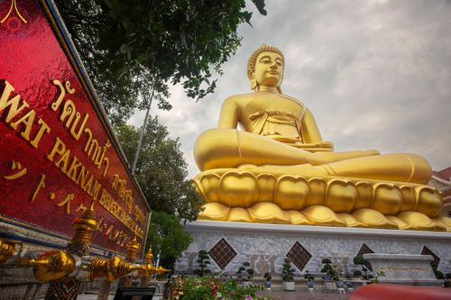 ภาพ No.118945:คณะพุทธบุตรธรรมยาตราร่วมปฏิบัติธรรม และถ่ายภาพหมู่ประวัติศาสตร์ ในโครงการธรรมยาตราฯ ปีที่ 12  วันที่ 25 มกราคม พ.ศ. 2567  ณ อาคารธรรมยาตรา กตัญญูบูชามหาปูชนียาจารย์  ตรงข้ามวัดปากน้ำภาษีเจริญ จ.กรุงเทพมหานคร