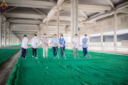 ภาพ No.219028:วันที่ 19-21 เมษายน พ.ศ. 2568 การเตรียมงานในลานธรรม , วิหารคด เพื่องานวันคุ้มครองโลก 22 เมษายน พ.ศ. 2568