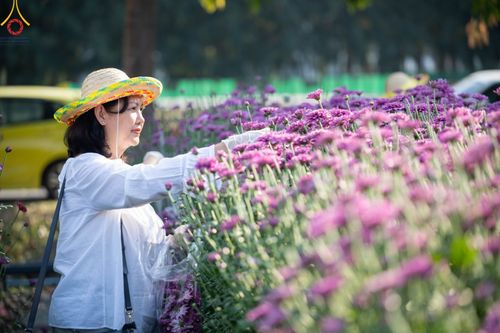 ภาพ No.102875:สาธุชนร่วมรับบุญเก็บดอกเบญจทรัพย์ ในวันที่ 19 ธันวาคม พ.ศ. 2566 (วันแรก) ณ บริเวณวัดพระธรรมกาย จ.ปทุมธานี