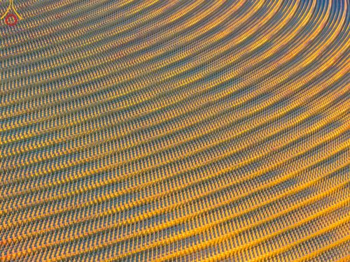 ภาพ No.150260:พิธีจุดประทีป และพิธีฉลองชัยสวดมนต์ บทธัมมจักกัปปวัตตนสูตร ครบ 6,668,272,727 จบ เนื่องในวันธรรมชัย 27 สิงหาคม พ.ศ. 2567 ณ มหารัตนวิหารคด วัดพระธรรมกาย