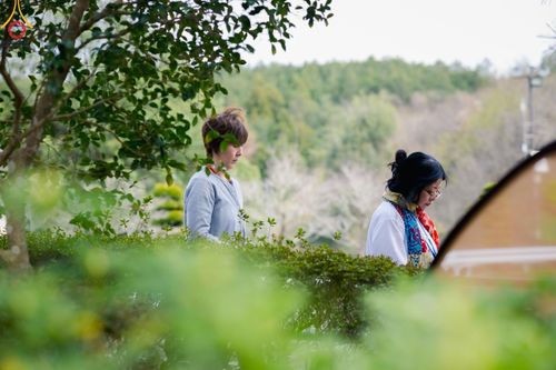 ภาพ No.61644:วัดป่าธรรมกายนานาชาติโทชิหงิ จัดปฏิบัติธรรมสุดสัปดาห์ ระหว่างวันที่ 12-14 เมษายน พ.ศ. 2567 (รุ่นเทศกาลสงกรานต์)