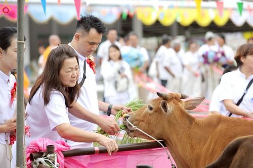 ภาพ No.241563:วันเสาร์ที่ 23 สิงหาคม พ.ศ. 2568 พิธีบุพเปตพลีนานาชาติ ปีที่ 12 ณ ศูนย์ปฏิบัติธรรมภาคใต้ อ.บางกล่ำ จ.สงขลา