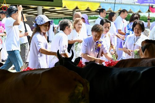 ภาพ No.148736:พิธีบุพเปตพลี, พิธีทอดผ้าป่า, พิธีไถ่ชีวิตโค 80 ตัว ให้ชีวิตสัตว์เป็นทาน ณ ศูนย์ปฎิบัติธรรมภาคใต้ อ.บางกล่ำ จ.สงขลา วันเสาร์ที่ 10 สิงหาคม พ.ศ. 2567