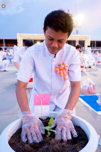 ภาพ No.253043:วันที่ 10 ตุลาคม พ.ศ. 2568 พิธีปลูกต้นทรัพย์บานชื่น ณ ลานธรรม วัดพระธรรมกาย