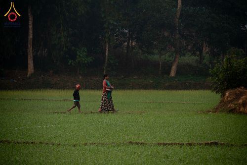 ภาพ No.309991:วันที่ 3-8 กุมภาพันธ์ พ.ศ. 2569 ธรรมยาตราบังกลาเทศ (Rajban Vihar - Khagrachri) ณ ประเทศบังกลาเทศ (Bangladesh)