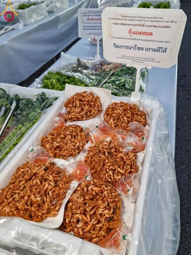 ภาพ No.106713:พิธีถวายภัตตาหารเป็นสังฆทาน แด่คณะพระธรรมยาตราฯ ในโครงการธรรมยาตรากตัญญูบูชา มหาปูชนียาจารย์ พระมงคลเทพมุนี(สด จนฺทสโร) พระผู้ปราบมาร อนุสรณ์สถาน 7 แห่ง ปีที่ 12 วันที่ 6 มกราคม พ.ศ. 2567 ณ อนุสรณ์สถานโลตัสแลนด์ จ.สุพรรณบุรี