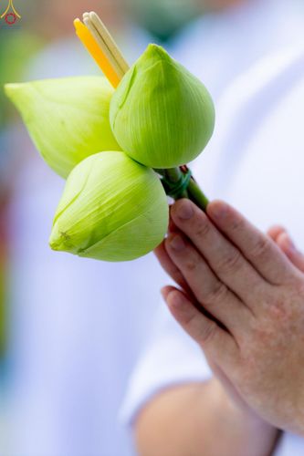 ภาพ No.228884:วันเสาร์ที่ 14 มิถุนายน พ.ศ. 2568 พิธีเวียนประทักษิณ , พิธีขอขมารับผ้าไตร ในโครงการบรรพชาอุปสมบทหมู่ ผู้บริหารรุ่นที่ 15 และ อุดมศึกษา รุ่นที่ 52 ณ โบสถ์พระไตรปิฎก วัดพระธรรมกาย