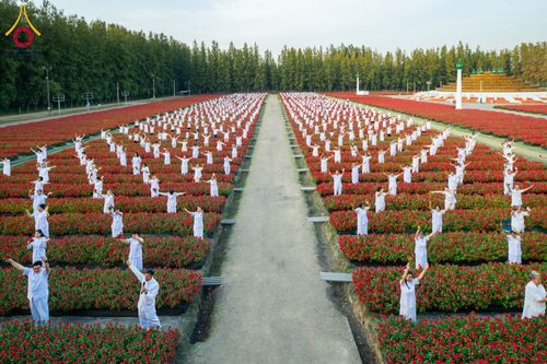 ภาพ No.185491:กิจกรรมเก็บดอกแพงรวย วันอาทิตย์ที่ 22 ธันวาคม พ.ศ. 2567 ณ ทุ่งสวรรค์ ตะวันฉาย วัดพระธรรมกาย