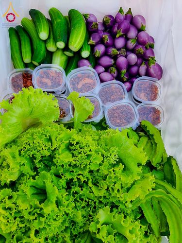 ภาพ No.196996:พิธีถวายภัตตาหารเป็นสังฆทาน แด่พระธรรมยาตรา ณ วัดโบสถ์(บน) ตำบลบางคูเวียง อำเภอบางกรวย จังหวัดนนทบุรี ในโครงการธรรมยาตรา กตัญญูบูชา มหาปูชนียาจารย์ พระมงคลเทพมุนี(สด จนฺทสโร) พระผู้ปราบมาร อนุสรณ์สถาน 7 แห่ง ปีที่ 13 วันที่ 18 มกราคม พ.ศ. 2568