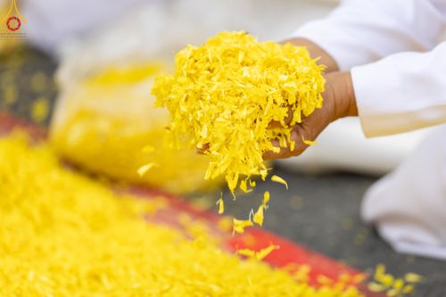 ภาพ No.120095:พิธีต้อนรับพระธรรมยาตรา ในโครงการธรรมยาตรา กตัญญูบูชา มหาปูชนียาจารย์ พระมงคลเทพมุนี(สด จนฺทสโร) พระผู้ปราบมาร อนุสรณ์สถาน 7 แห่ง ปีที่ 12 วันที่ 28 มกราคม พ.ศ. 2567 ณ วัดพระธรรมกาย จ.ปทุมธานี