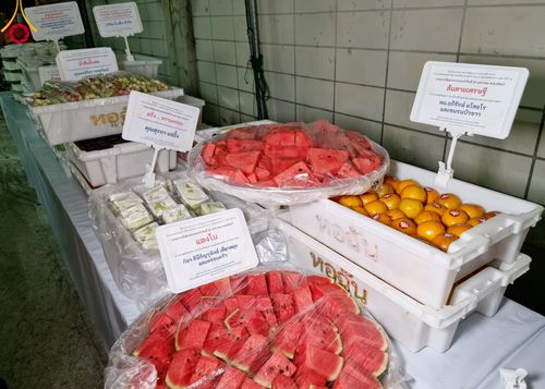 ภาพ No.116362:พิธีถวายภัตตาหารเป็นสังฆทาน แด่คณะพระธรรมยาตรา ปีที่ 12 วันที่ 21 มกราคม พ.ศ. 2567 ณ วัดโบสถ์(บน) บางคูเวียง จ.นนทบุรี