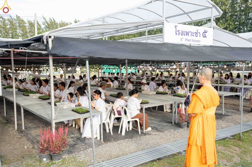 ภาพ No.343885:วันที่ 16 สิงหาคม พ.ศ.2569 การปักชำต้นกล้าเบญจทรัพย์ เพื่อเตรียมดอกไม้บูชาธรรม พระเดชพระคุณหลวงปู่ และโปรยต้อนรับพระธรรมยาตรา ปีที่ 15 ณ โรงเรือนปักชำประตู 8 วัดพระธรรมกาย
