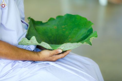 ภาพ No.63574:พิธีปลงผมนาคธรรมทายาท โครงการอุปสมบทบูชาธรรม มหาปูชนียาจารย์ประจำปี 2565 วันที่ 19 พฤศจิกายน พ.ศ. 2565 ณ สภาธรรมกายสากล วัดพระธรรมกาย