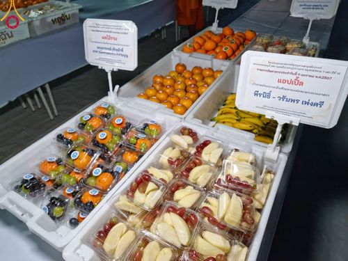 ภาพ No.109016:พิธีถวายภัตตาหารเป็นสังฆทาน แด่คณะพระธรรมยาตราฯ ในโครงการธรรมยาตรากตัญญูบูชา มหาปูชนียาจารย์ พระมงคลเทพมุนี(สด จนฺทสโร) พระผู้ปราบมาร อนุสรณ์สถาน 7 แห่ง ปีที่ 12 วันที่ 9 มกราคม พ.ศ. 2567 ณ อนุสรณ์สถานคลองบางนางแท่น  อ.สามพราน จ.นครปฐม