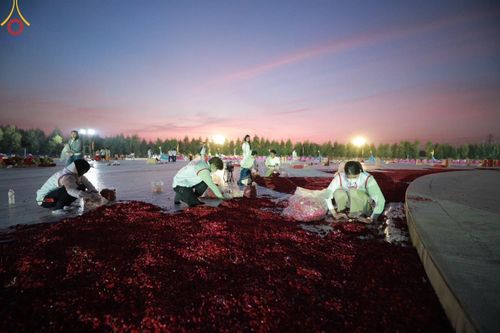 ภาพ No.206561:V.54 สารพัดV สารพัดดี ที่บางปลา ในโครงการธรรมยาตรา กตัญญูบูชา มหาปูชนียาจารย์ พระมงคลเทพมุนี(สด จนฺทสโร) พระผู้ปราบมาร อนุสรณ์สถาน 7 แห่ง ปีที่ 13 ระหว่างวันที่ 2-31 มกราคม พ.ศ. 2568