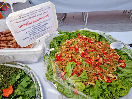 ภาพ No.109902:ถวายภัตตาหารเป็นสังฆทาน แด่คณะพระธรรมยาตราฯ ปีที่ 12 วันที่ 11 มกราคม พ.ศ. 2567 ณ อนุสรณ์สถานคลองบางนางแท่น  อ.สามพราน จ.นครปฐม