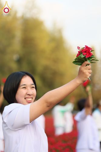 ภาพ No.185482:กิจกรรมเก็บดอกแพงรวย วันอาทิตย์ที่ 22 ธันวาคม พ.ศ. 2567 ณ ทุ่งสวรรค์ ตะวันฉาย วัดพระธรรมกาย