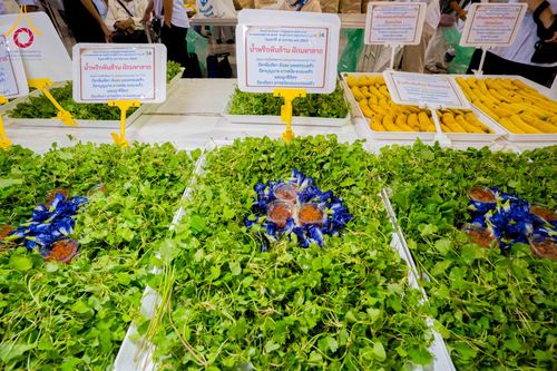 ภาพ No.307004:วันที่ 31 มกราคม พ.ศ. 2569 พิธีถวายภัตตาหารเป็นสังฆทาน แด่พระธรรมยาตรา ณ วัดพระธรรมกาย  จังหวัดปทุมธานี ในโครงการธรรมยาตรา กตัญญูบูชา มหาปูชนียาจารย์ พระมงคลเทพมุนี(สด จนฺทสโร) พระผู้ปราบมาร อนุสรณ์สถาน 7 แห่ง ปีที่ 14