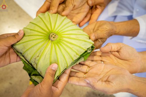 ภาพ No.78783:พิธีปลงผมนาคธรรมทายาท โครงการอบรมยุวธรรมทายาท มัชฌิมธรรมทายาท และธรรมทายาทรุ่นอุดมศึกษา ณ สภาธรรมกายสากล วัดพระธรรมกาย วันเสาร์ที่ 1 เมษายน พ.ศ. 2566