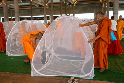 ภาพ No.323841:วันที่ 22 เมษายน พ.ศ.2569 (วันคุ้มครองโลก) งานถวายมหาสังฆทาน 40,000 กว่าวัดทั่วประเทศ บรรยากาศพระสังฆาธิการและสาธุชน  เดินทางเข้าวัดพระธรรมกาย และพักค้าง ตั้งแต่ ตอนเย็นวันที่ 21  ถึงเช้าวันที่ 22
