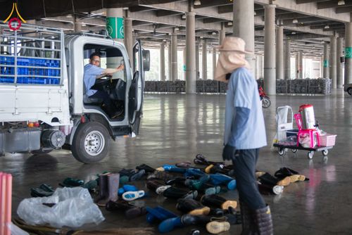 ภาพ No.315001:วันที่ 17-22 มีนาคม พ.ศ.2569 การเตรียมงานมหาสังฆทาน 40,000 กว่าวัดทั่วไทย วันคุ้มครองโลก 22 เมษายน พ.ศ.2569