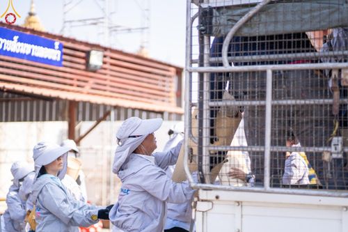 ภาพ No.114331:V.13 ตามติด การเตรียมงาน เก็บงาน การรับบุญของเจ้าหน้าที่หน่วยงานต่างๆ เพื่อโครงการธรรมยาตรา ปีที่ 12 ระหว่างวันที่ 2 - 31 มกราคม พ.ศ. 2567